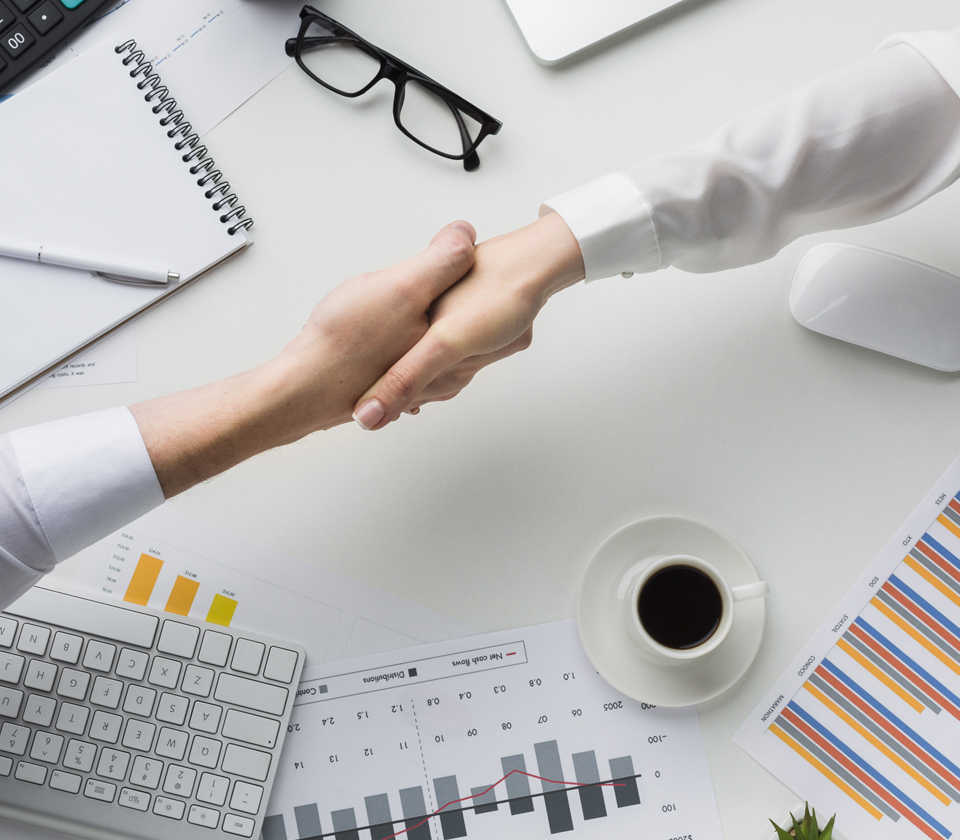 asesoría de empresas en inglés